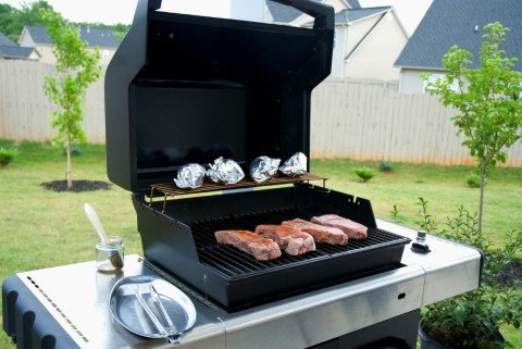 Portable Gas Grills The Ultimate Gadget for a Memorable Outdoor Event